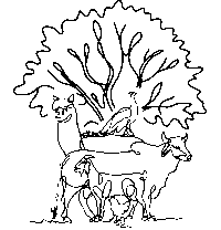 Logo LA FERMETTE MARMIGNOGNNE